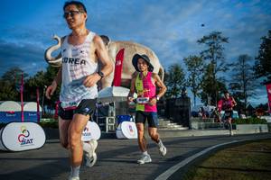 BIB: 
                            <button type="button" onclick="openModal(26541546)" class="btn btn-primary btn-sm float-right btn-popup" data-toggle="modal" data-target=".modal-high-quality">
                        <i class="fas fa-shopping-cart"></i> Add to Cart
                    </button>
                                            <button type="button" onclick="isThisMe(26541546, true)" class="btn btn-success btn-sm float-right btn-popup btn-isme hidden" data-toggle="tooltip" data-placement="bottom" title="นี่คือรูปของคุณใช่ไหม คลิกที่นี่เพื่อเอาเข้าอัลบั้ม">
                        <i class="fas fa-plus"></i> Add to album
                    </button>
                    <button type="button" onclick="isThisMe(26541546, false)" class="btn btn-warning btn-sm float-right btn-popup btn-isnotme hidden">
                        <i class="fas fa-ban"></i> Remove from album
                    </button>